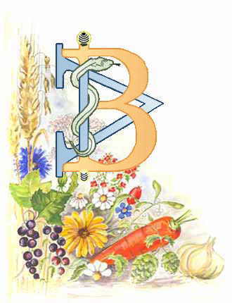 Logo Naturheilpraxis Bauhofer